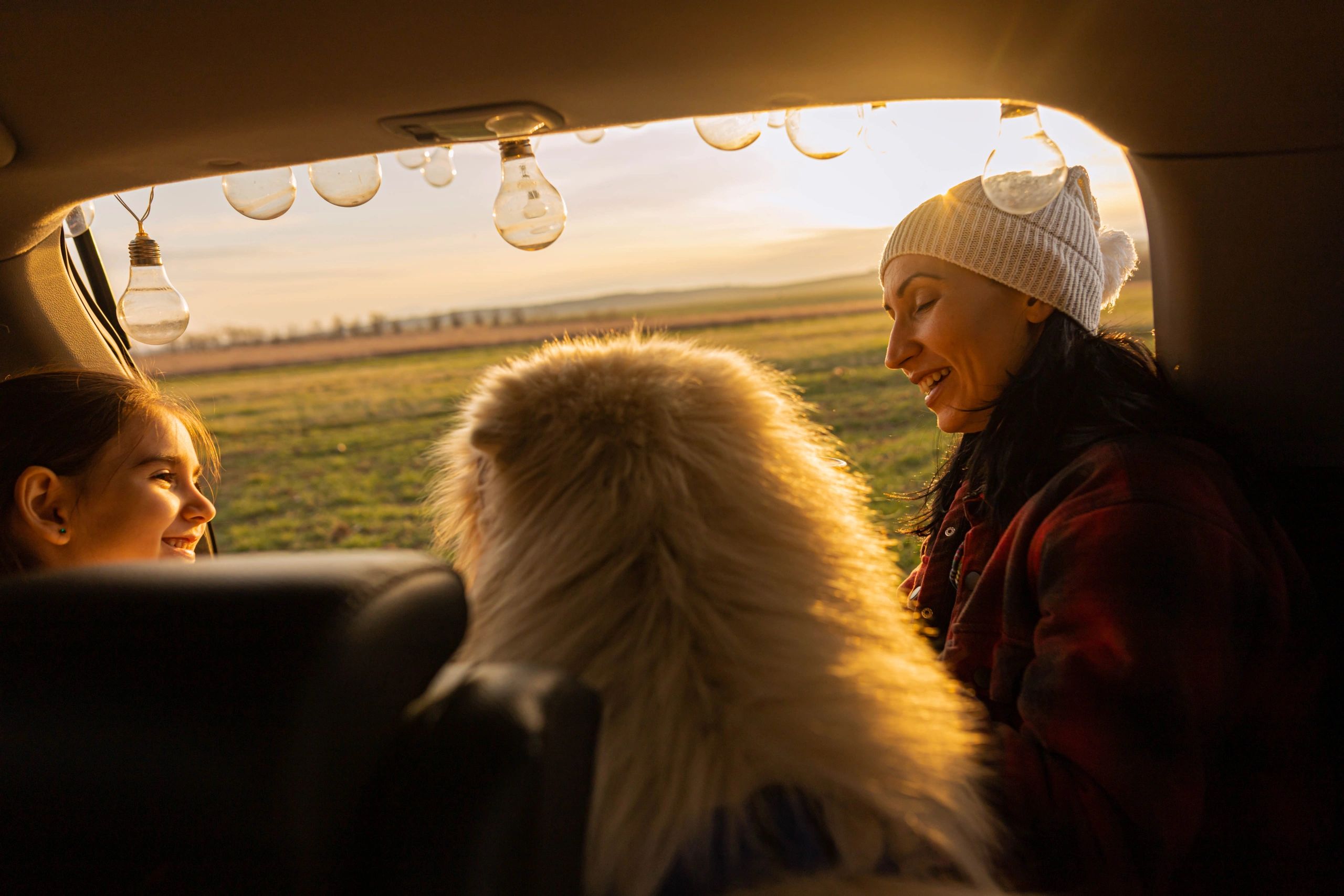 Dog enjoying sunset during a road trip