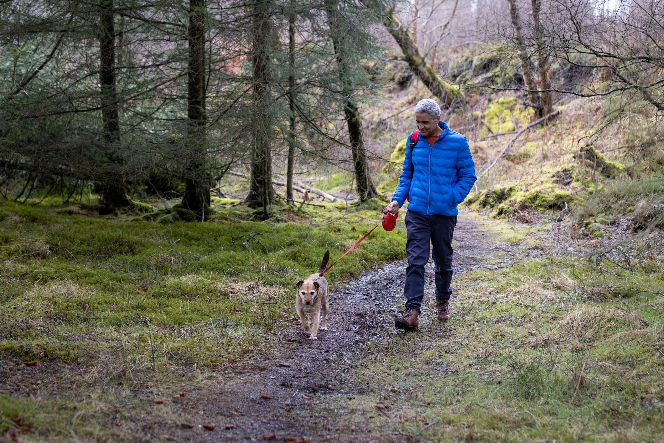 Person walking a dog through a wooded area