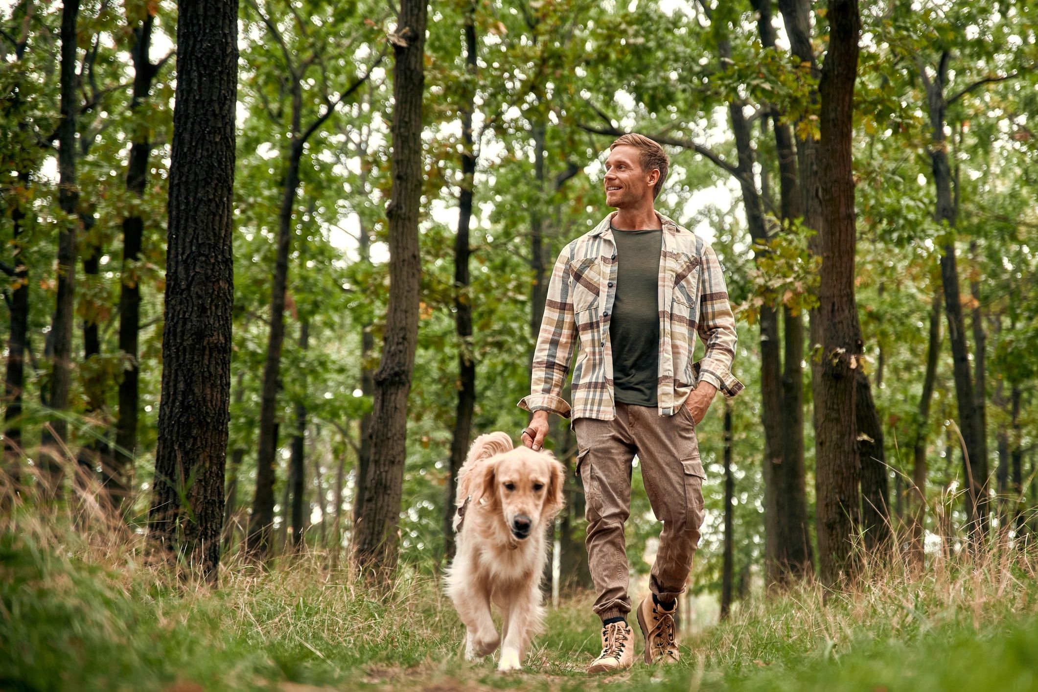 Dog walk through a lush forest trail