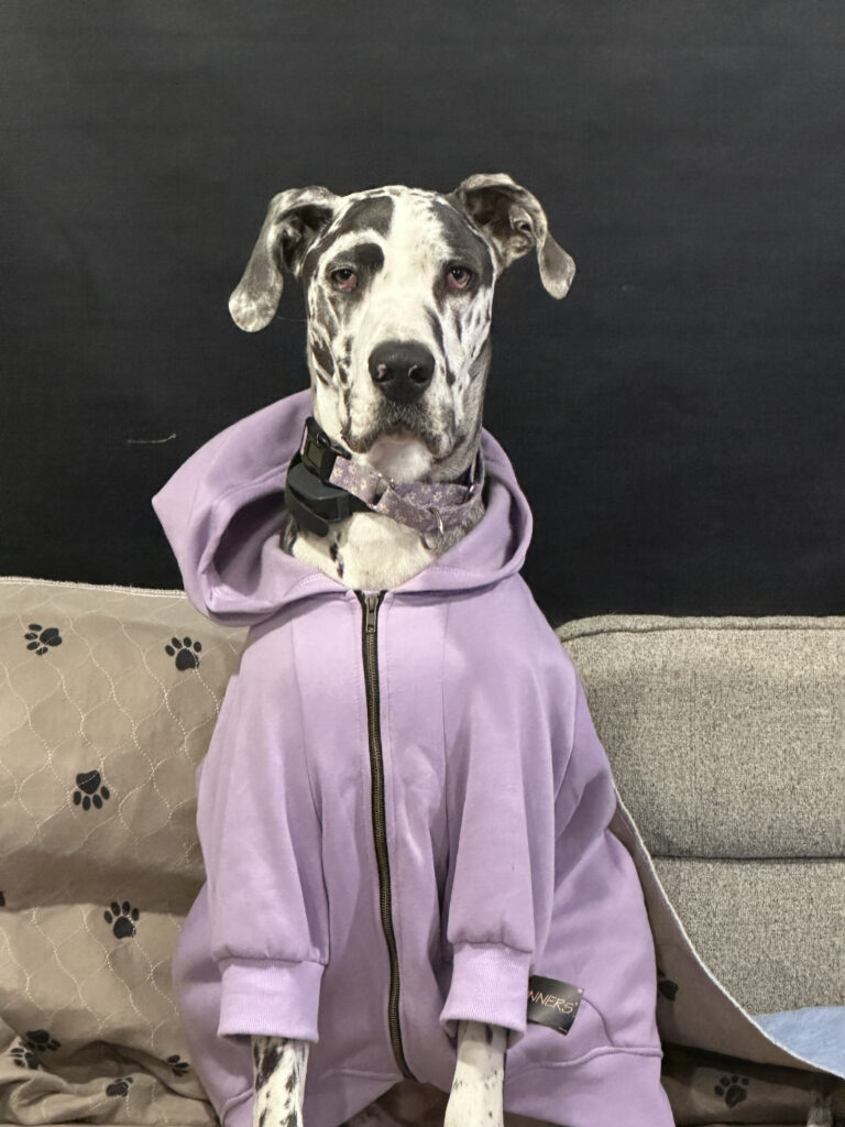 Photo of Raven wearing a purple hoodie.